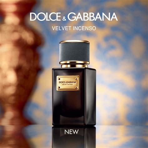 dolce gabbana velvet incenso kaufen|velvet incenso cologne.